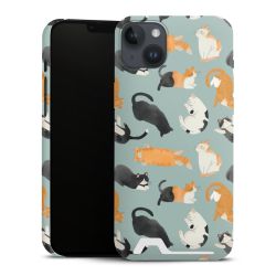 Premium Card Case matt