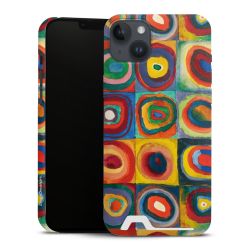 Premium Card Case matt