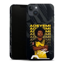 Premium Card Case matt