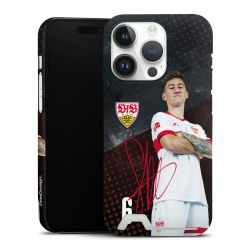 Premium Card Case matt