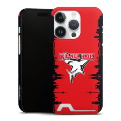 Premium Card Case matt