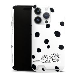 Premium Card Case matt