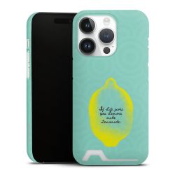 Premium Card Case matt