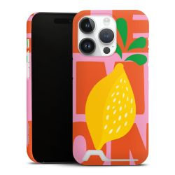 Premium Card Case matt