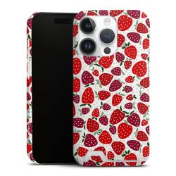 Premium Card Case matt