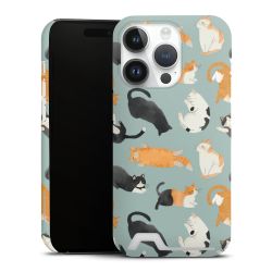 Premium Card Case matt