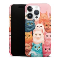 Premium Card Case matt