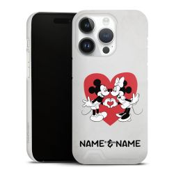 Premium Card Case matt