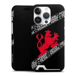 Premium Card Case matt