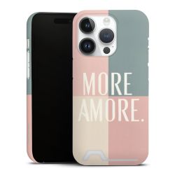 Premium Card Case matt