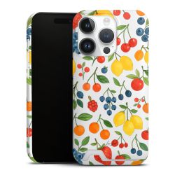 Premium Card Case matt