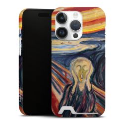 Premium Card Case matt