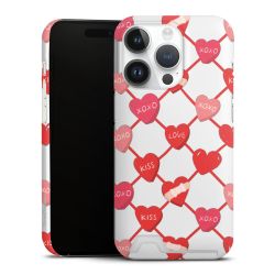 Premium Card Case matt