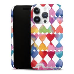 Premium Card Case matt