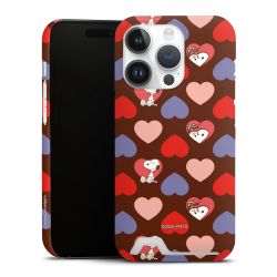 Premium Card Case matt