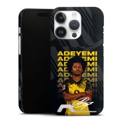 Premium Card Case matt
