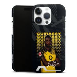 Premium Card Case matt