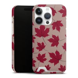 Premium Card Case matt