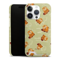 Premium Card Case matt