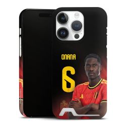 Premium Card Case matt