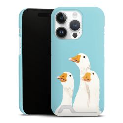 Premium Card Case matt