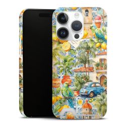 Premium Card Case matt