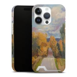 Premium Card Case matt