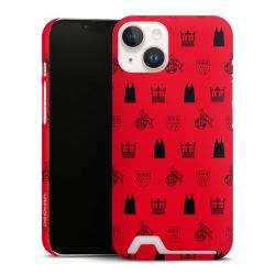 Premium Card Case matt