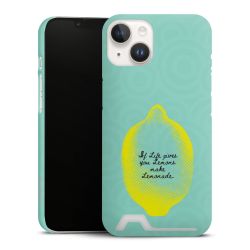 Premium Card Case matt