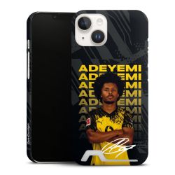 Premium Card Case matt