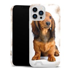 Premium Card Case glossy