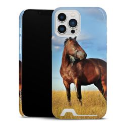 Premium Card Case glossy