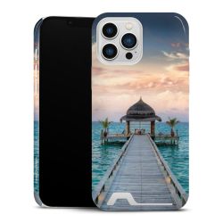 Premium Card Case glossy