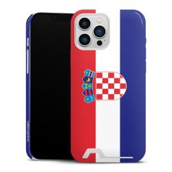 Premium Card Case glossy