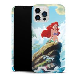 Premium Card Case glossy