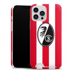 Premium Card Case glossy