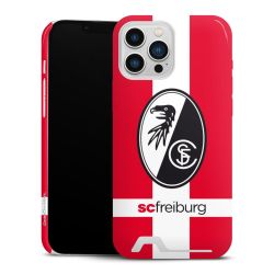 Premium Card Case glossy