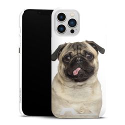 Premium Card Case glossy