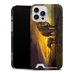 Premium Card Case glossy