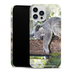 Premium Card Case glossy