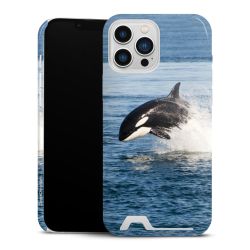 Premium Card Case glossy