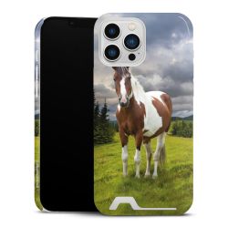 Premium Card Case glossy