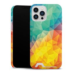 Premium Card Case glossy