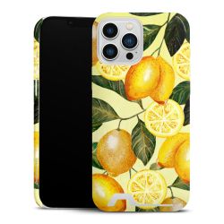 Premium Card Case glossy