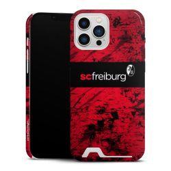 Premium Card Case glossy