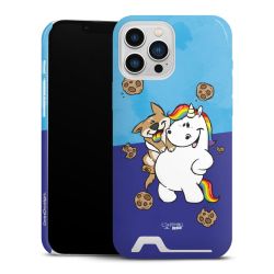 Premium Card Case glossy