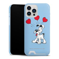 Premium Card Case glossy