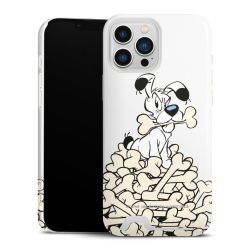 Premium Card Case glossy