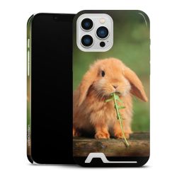 Premium Card Case glossy