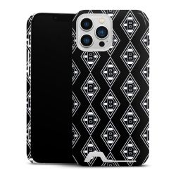 Premium Card Case glossy